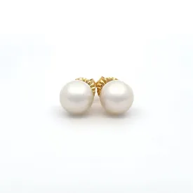 18K Yellow Gold Australian South Sea 11-12mm Cultured Pearl Stud Earrings