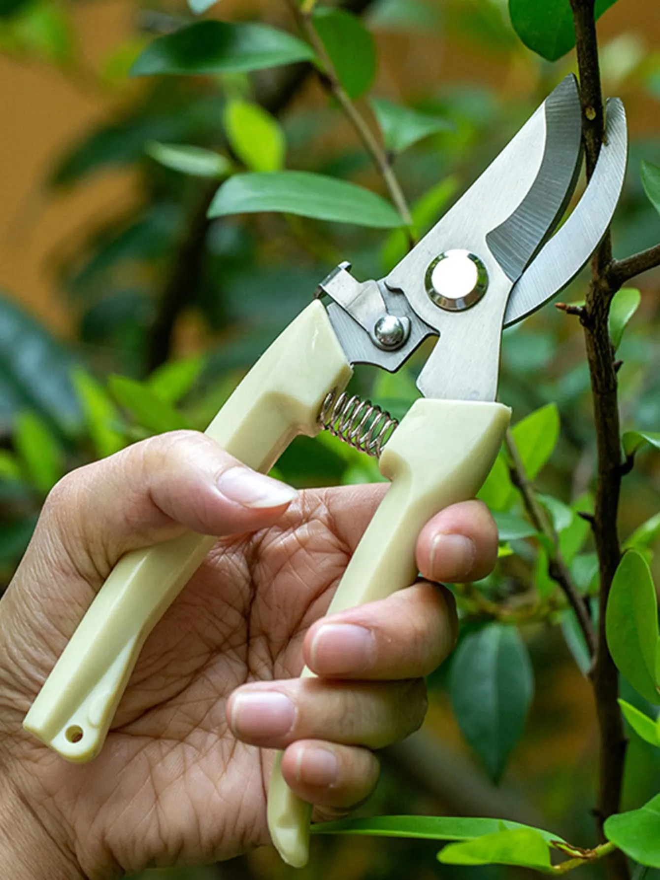 1pc Minimalist Pruning Shear