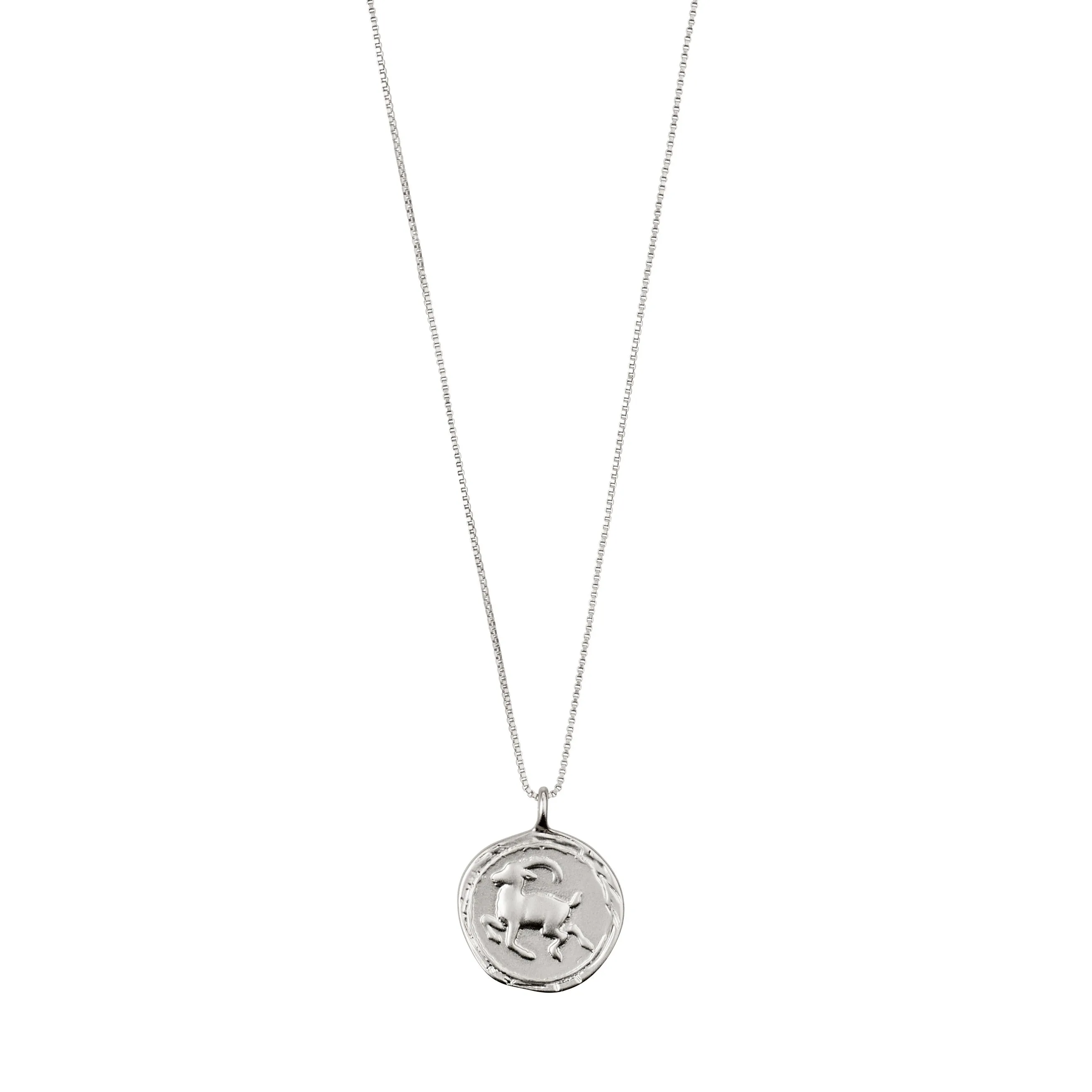 CAPRICORNUS recycl. Zodiac Sign Coin Necklace, silver-plated