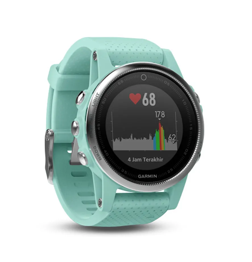 GARMIN FENIX 5S - FROST BLUE