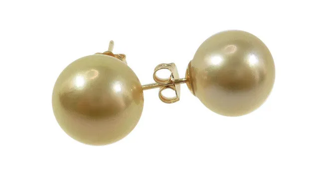 Golden South Sea Pearl Earrings