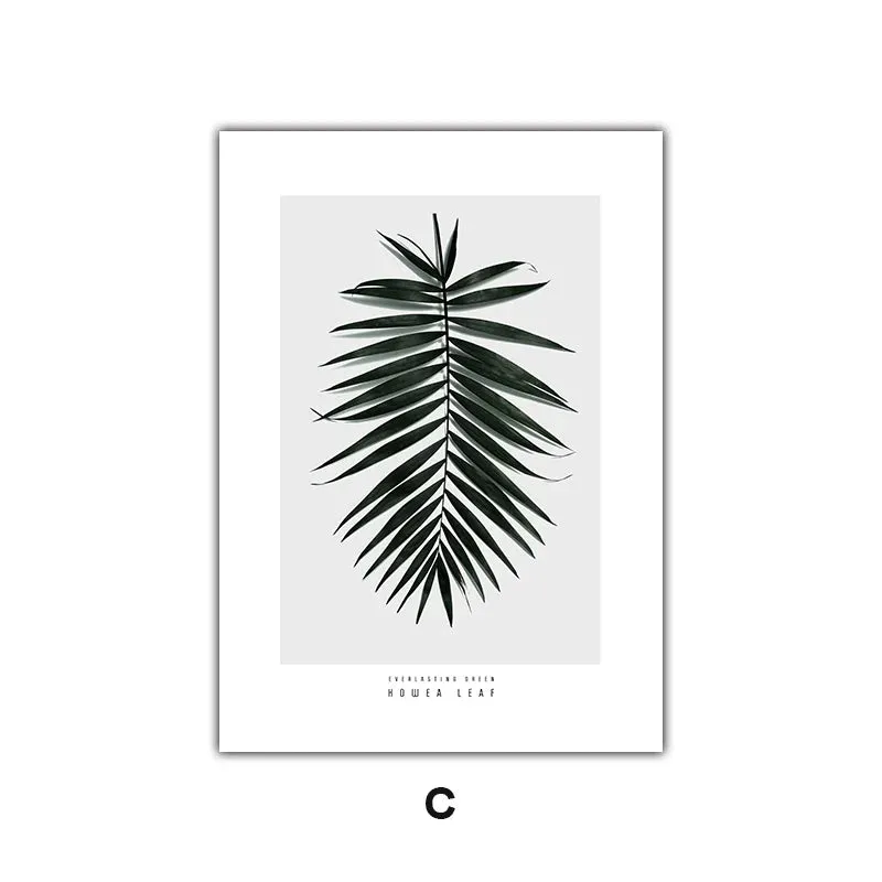 Minimalist Green Leaves Modern Botanical Specimen Wall art Fine Art Canvas Prints Gallery Wall Pictures For Living Room Dining Room Art Decor