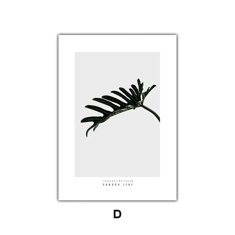 Minimalist Green Leaves Modern Botanical Specimen Wall art Fine Art Canvas Prints Gallery Wall Pictures For Living Room Dining Room Art Decor