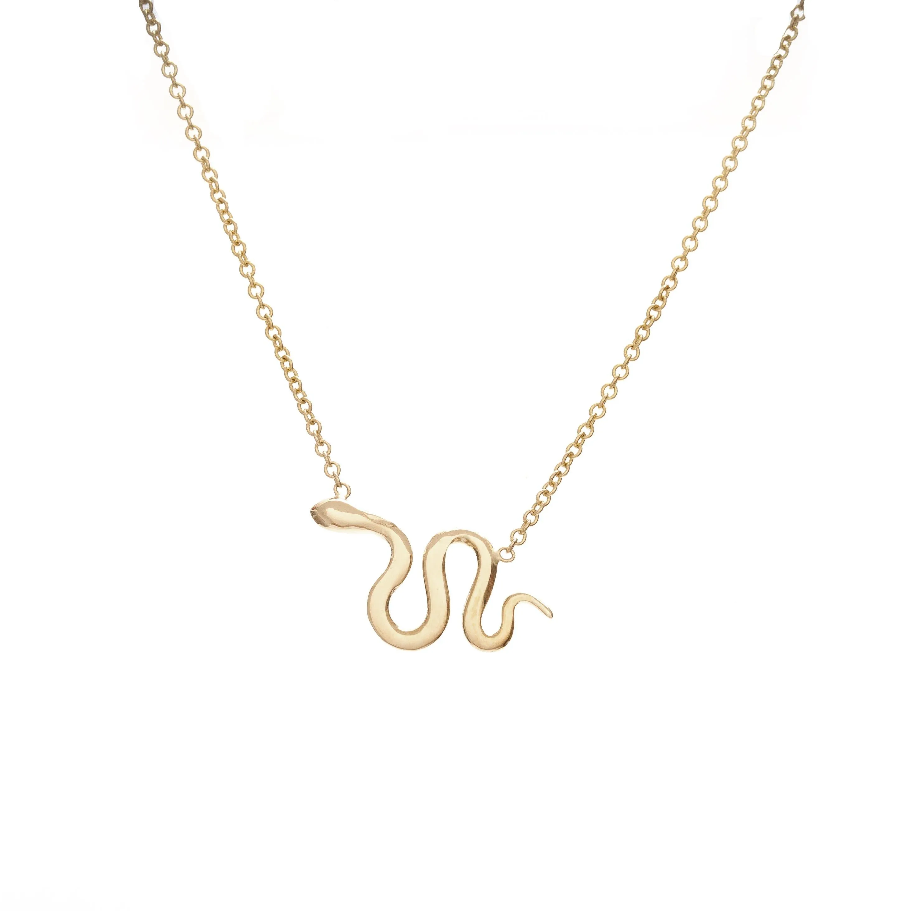 Snake Charm Necklace