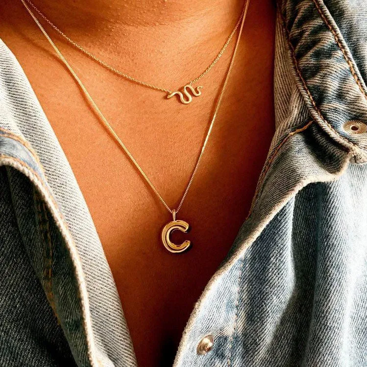 Snake Charm Necklace